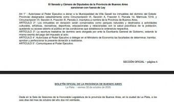 SE PROMULG� LA LEY QUE AUTORIZA LA DONACI�N DE LOS PINARES DEL NORTE Y DEL ANFITEATRO �TITO ALLO� A VILLA GESELL